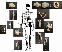 Αμφίπολη τάφος Καστά Μακεδονία Μέγας Αλέξανδρος ανασκαφές τύμβος αρχαία Ελλάδα amfipoli amphipoli peristeri