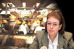 Αμφίπολη τάφος Καστά Μακεδονία Μέγας Αλέξανδρος ανασκαφές τύμβος αρχαία Ελλάδα amfipoli amphipoli peristeri